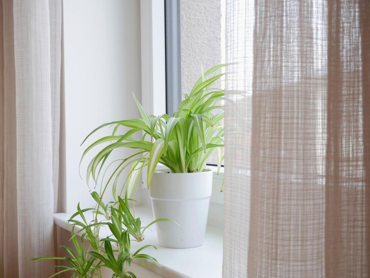 Ferienhaus Dorfleben 福格茨堡 外观 照片